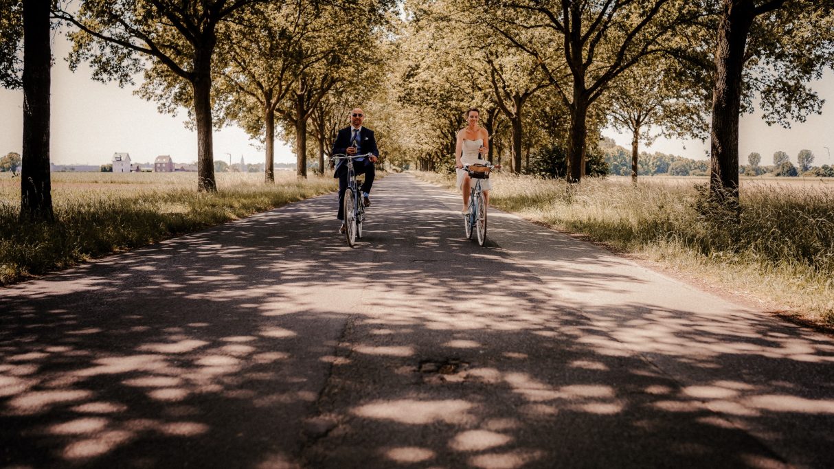 Zwei Personen gehen auf einem schattigen Weg, umgeben von Bäumen und Wiese.